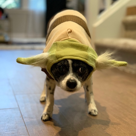 Meet your Posher, Natalie - Picture 8 of 16